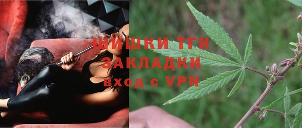 шишки Арсеньев