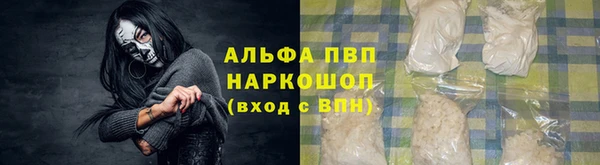 шишки Арсеньев