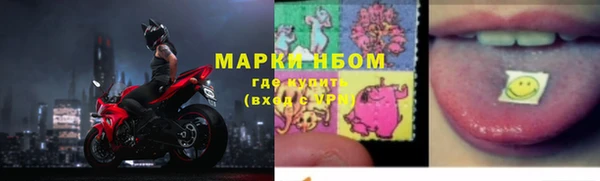 шишки Арсеньев