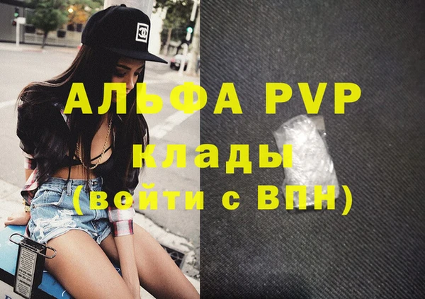 шишки Арсеньев
