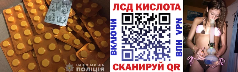 где можно купить наркотик  Болгар  Лсд 25 экстази ecstasy 