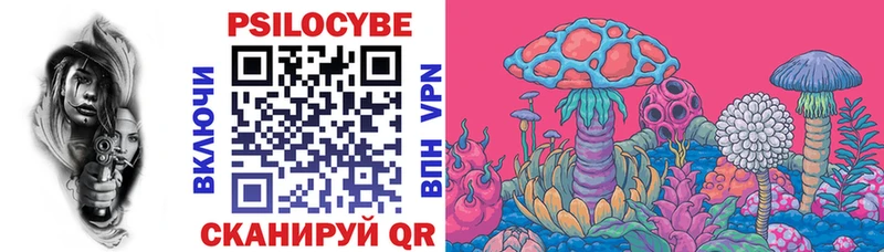Псилоцибиновые грибы мицелий  купить   Болгар 